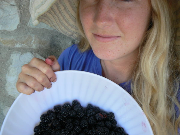 More (Italian for Blackberries)