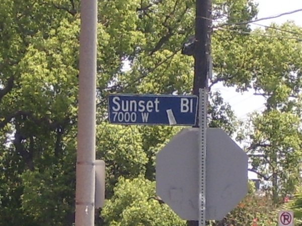 The infamous Sunset Blvd!