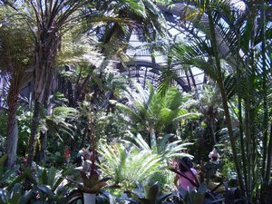 Inside the Botanical Garden in Balboa Park