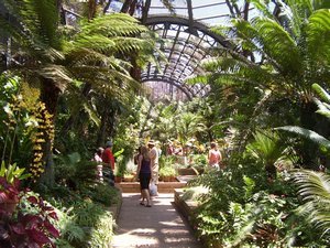 Inside the Botanical Garden in Balboa Park