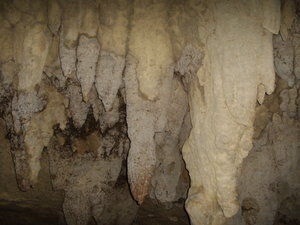 Inside Waipu Caves 2