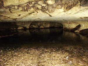 Inside Waipu Caves 4
