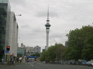 Driving through Auckland