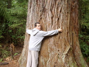 Matt in the Redwood Forest in Rotorua