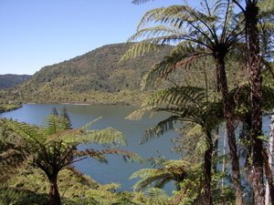The Green Lake at Rotorua