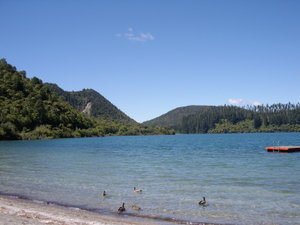 Chilling at the lake in Rotorua
