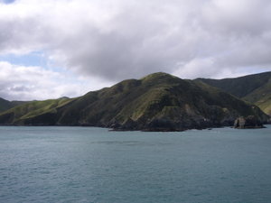 On the ferry to the South Island