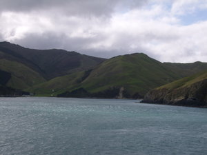 On the ferry to the South Island 2