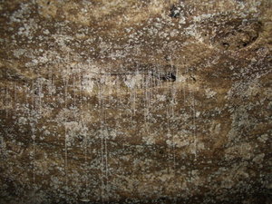 Inside Clifden Caves