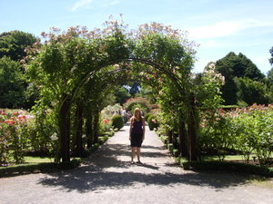 Dianna in the Botanic Gardens in Christchurch