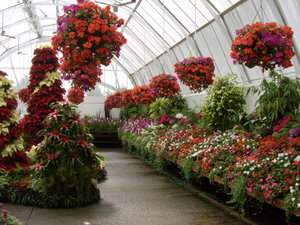 The Botanic Gardens in Christchurch