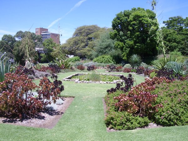 Adelaide Botanic gardens