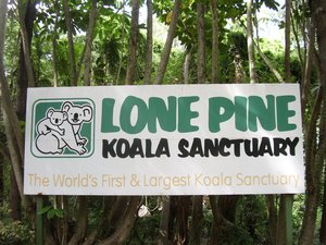 The entrance to the Koala Sanctuary