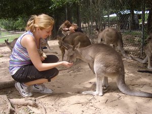 Dianna feeding the kangaroos
