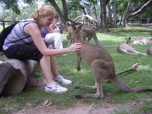 Dianna feeding the kangaroos