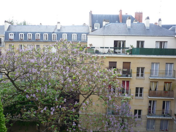 View of the hostel courtyard out my window.