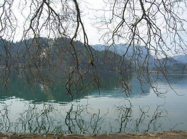 shores of Bled