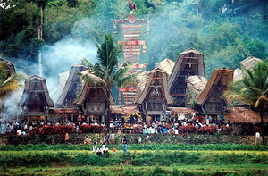 Village in Tana Toraja, with traditional houses