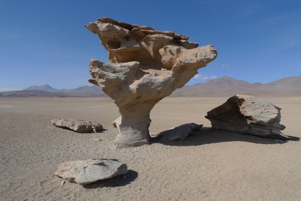 Rocks sculpted by wind and sand