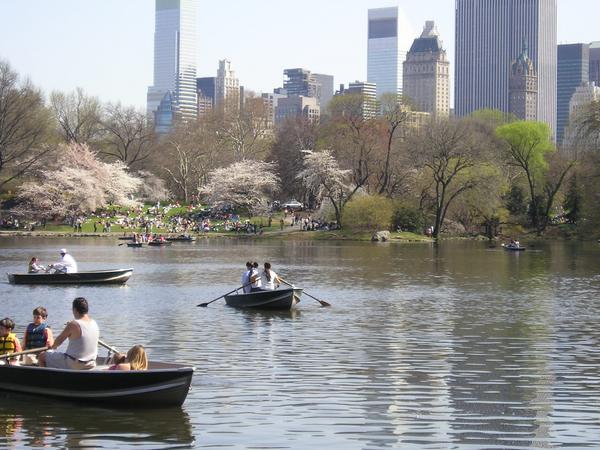 Boating at Central Park. NY!
