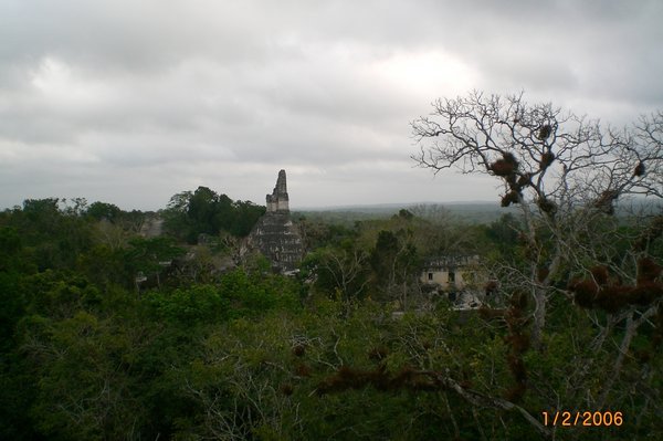 View over the jungle canopy to other temples
