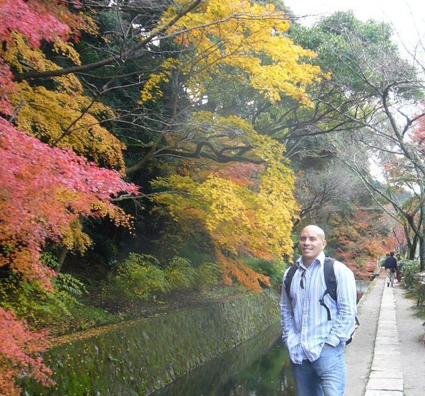 The splendor of Kyoto