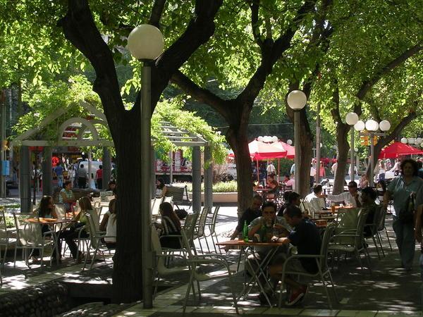 Mendoza is filled with tree-lined streets