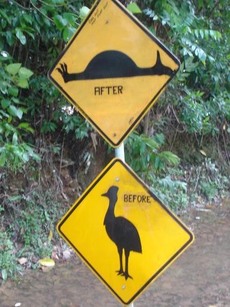 Cassowary Warning Sign