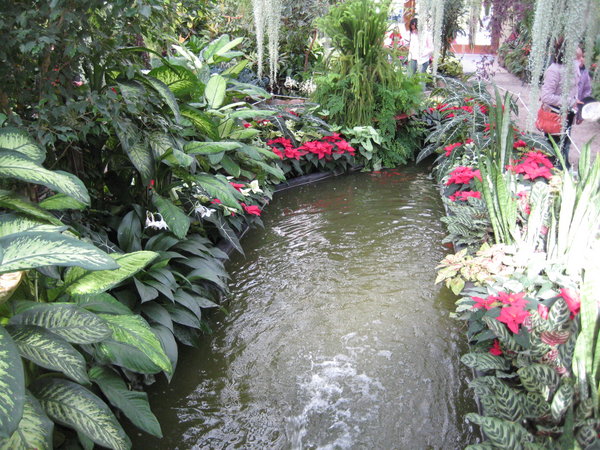 Conservatory - Fitzroy Gardens