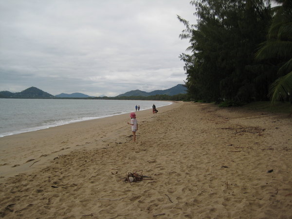Palm Cove early morning