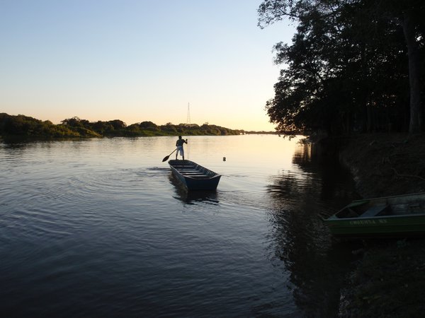 retrieving the volleyball - Pantanal style