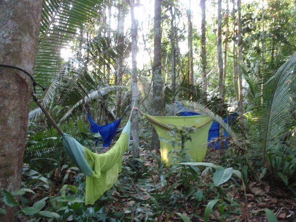 hammocks (and mozzie nets) set in the hotel amazon