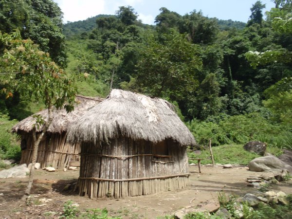 Indigenous huts, Ciudad Perdida trek