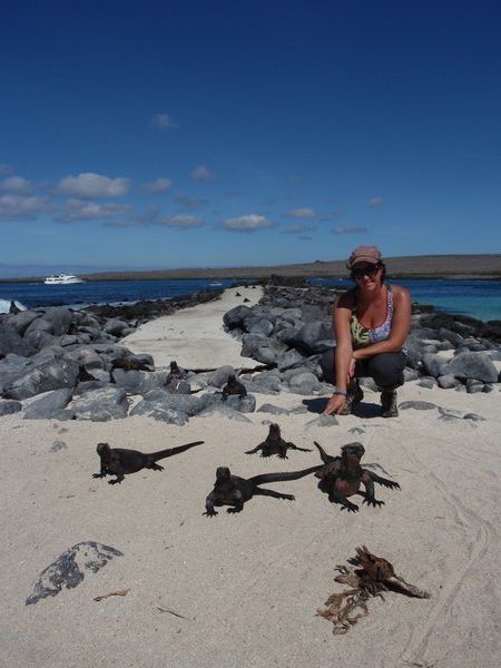 jen warms up in the sun with some marine iguanas