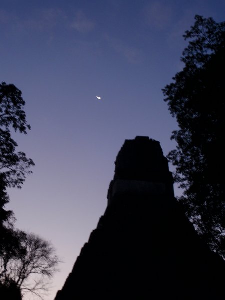 Tikal by night