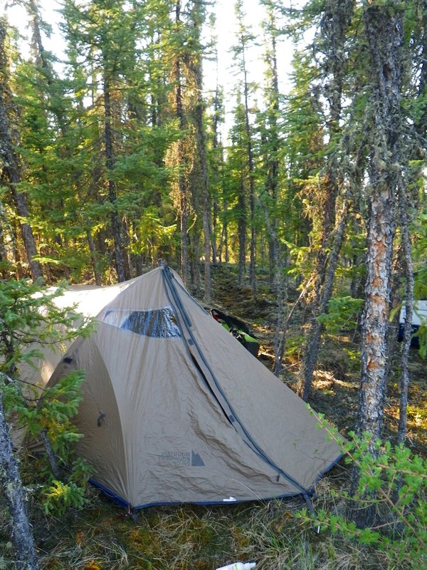 Bryce plants his tent in the middle of a bison trail