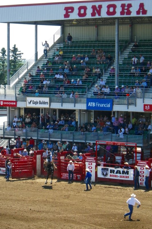 A day off at the Ponoka Stampede