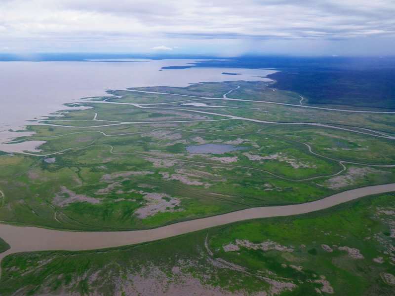 the Athabasca freshwater delta