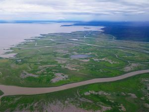 the Athabasca freshwater delta