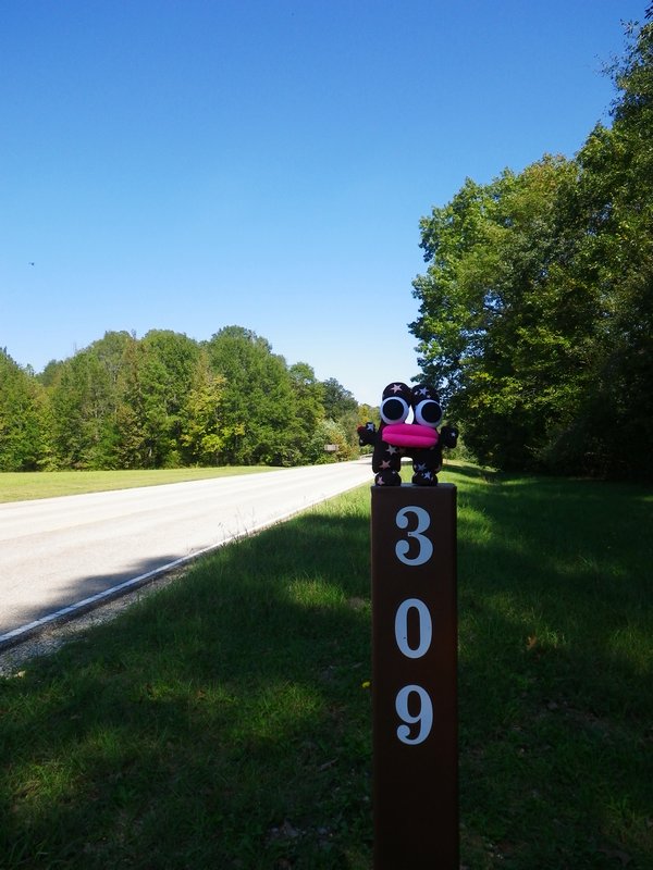 Gerry at mile 309, Natchez Trace Parkway