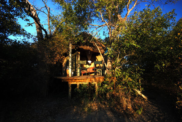 Treehouse at Ngepi