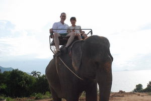 Elephant ride