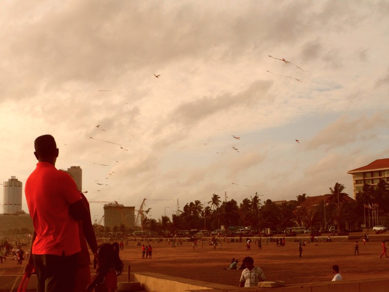 Kites in Colombo