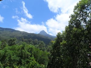 First and Last we saw of Adams Peak