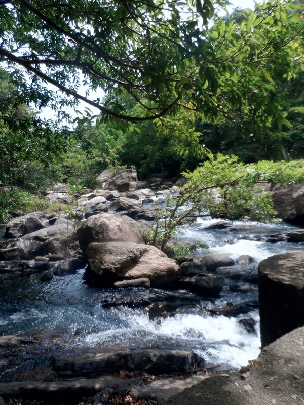A local River around Uda Walawe