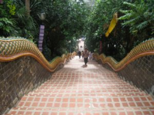 Stairway to Doi Suthep 