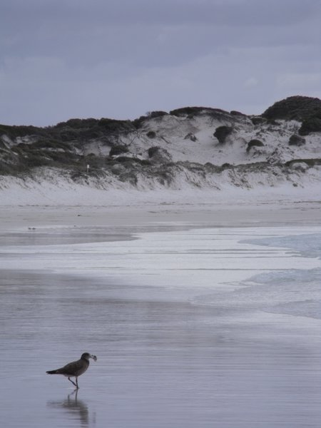 Lucky Bay