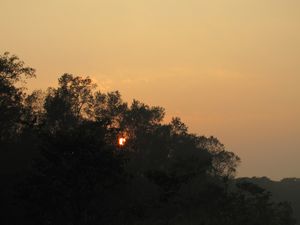 Sunset over Chitwan National Park
