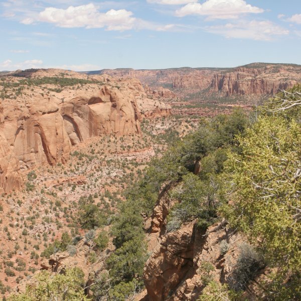 Navajo Nat'l Monument