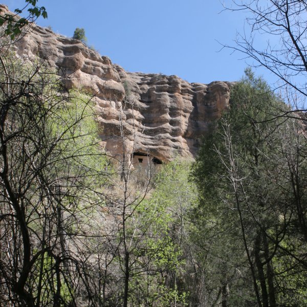 Gila Cliff Dwellings Nat'l Monument